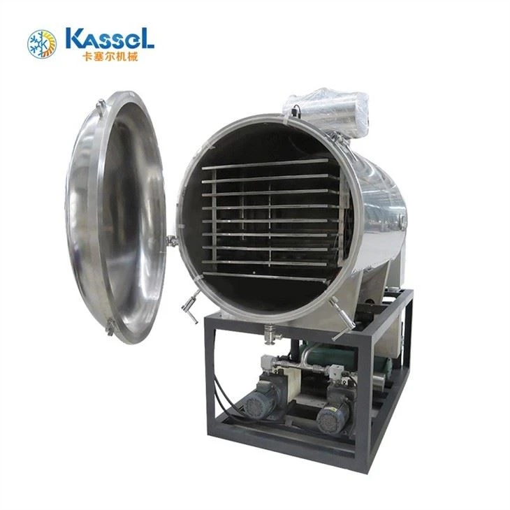 China Commercial Freeze Dryer factory