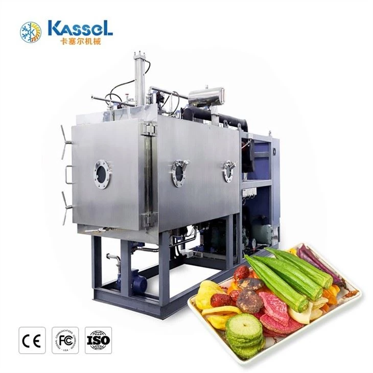 Commercial Freeze Dryer factory