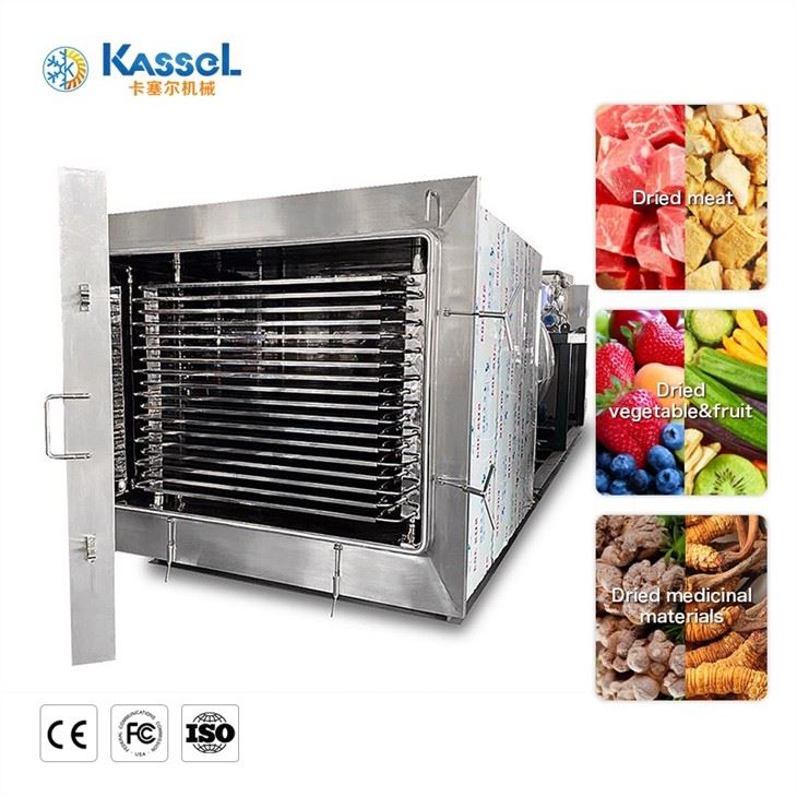 China Commercial Freeze Dryer factory
