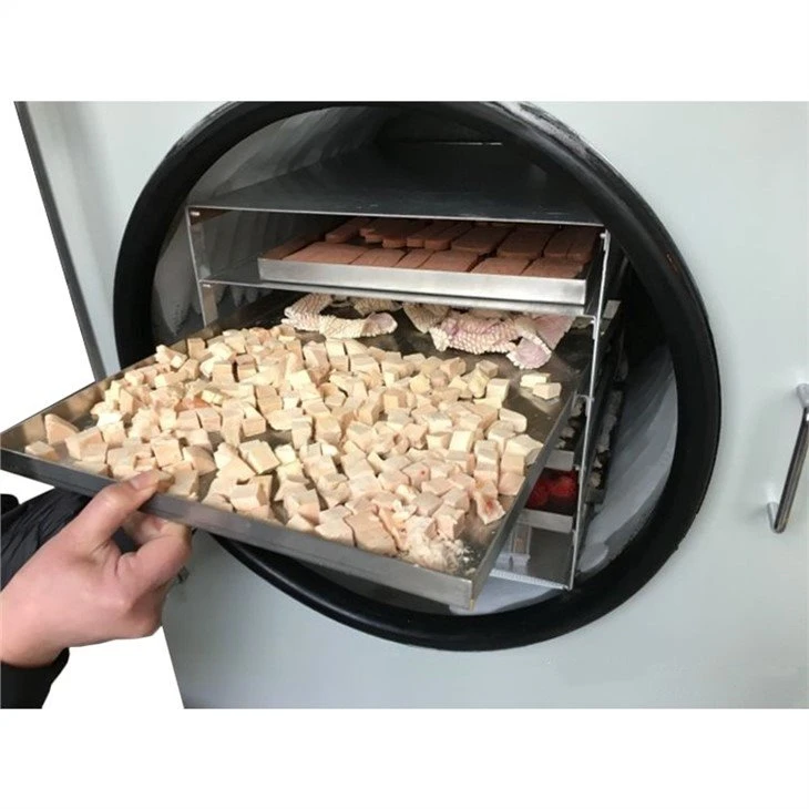 freeze dryer small